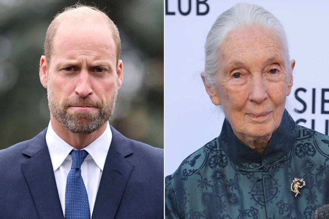 Prince William Praises ‘Extraordinary’ Jane Goodall After Her Death at 91