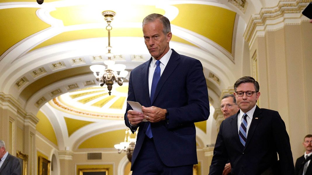 Senate GOP leader blasts Democrat 'dysfunction' over failed defense vote