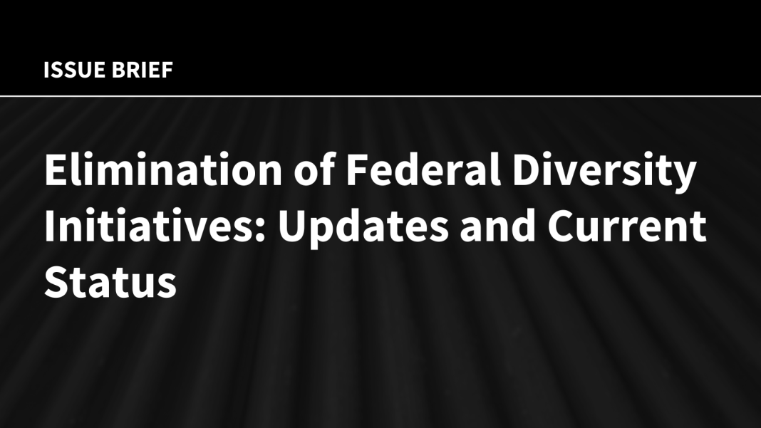 Elimination of Federal Diversity Initiatives: Updates and Current Status