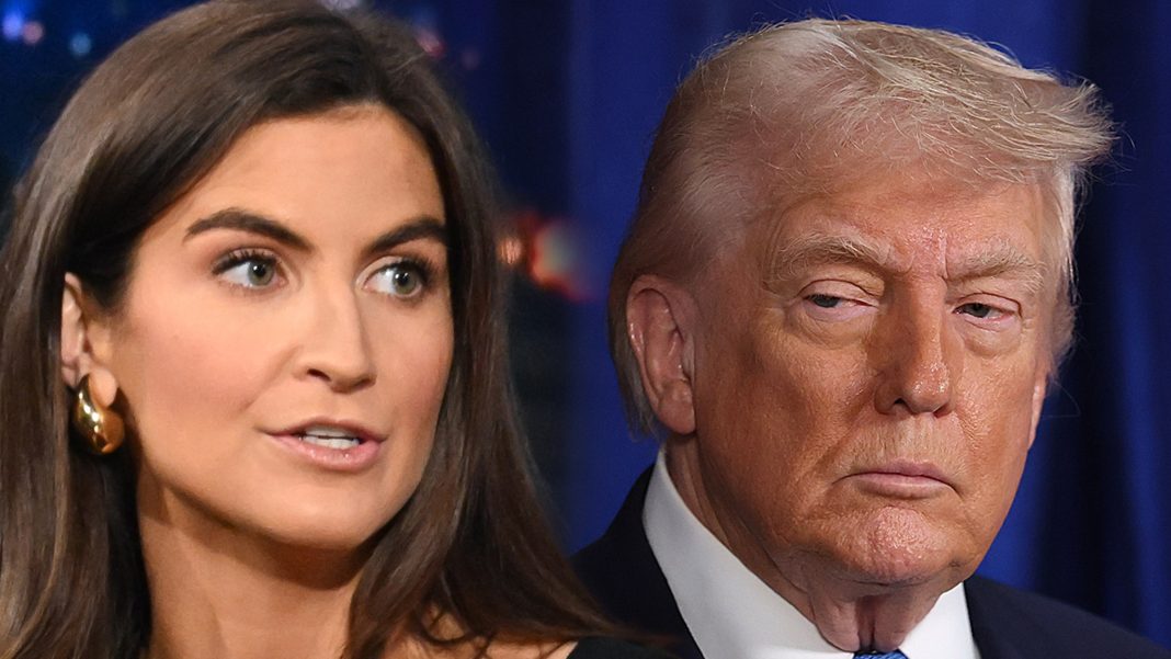 Kaitlan Collins Says She Wasn't 'Surprised' Trump Attacked Her During WHCD Speech
