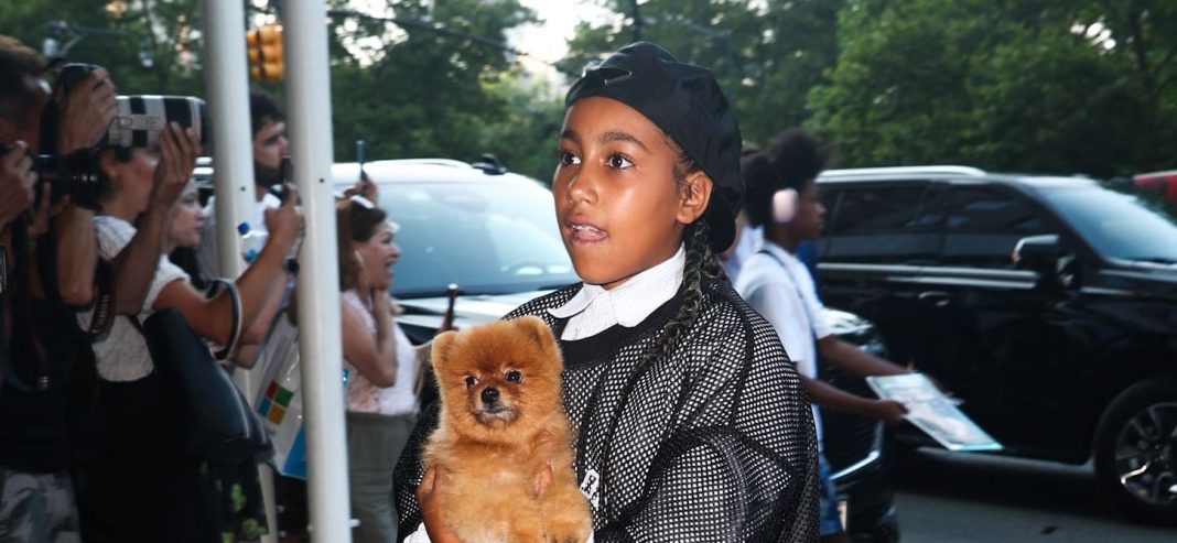 North West Teases New Surprise After Tour Is Canceled