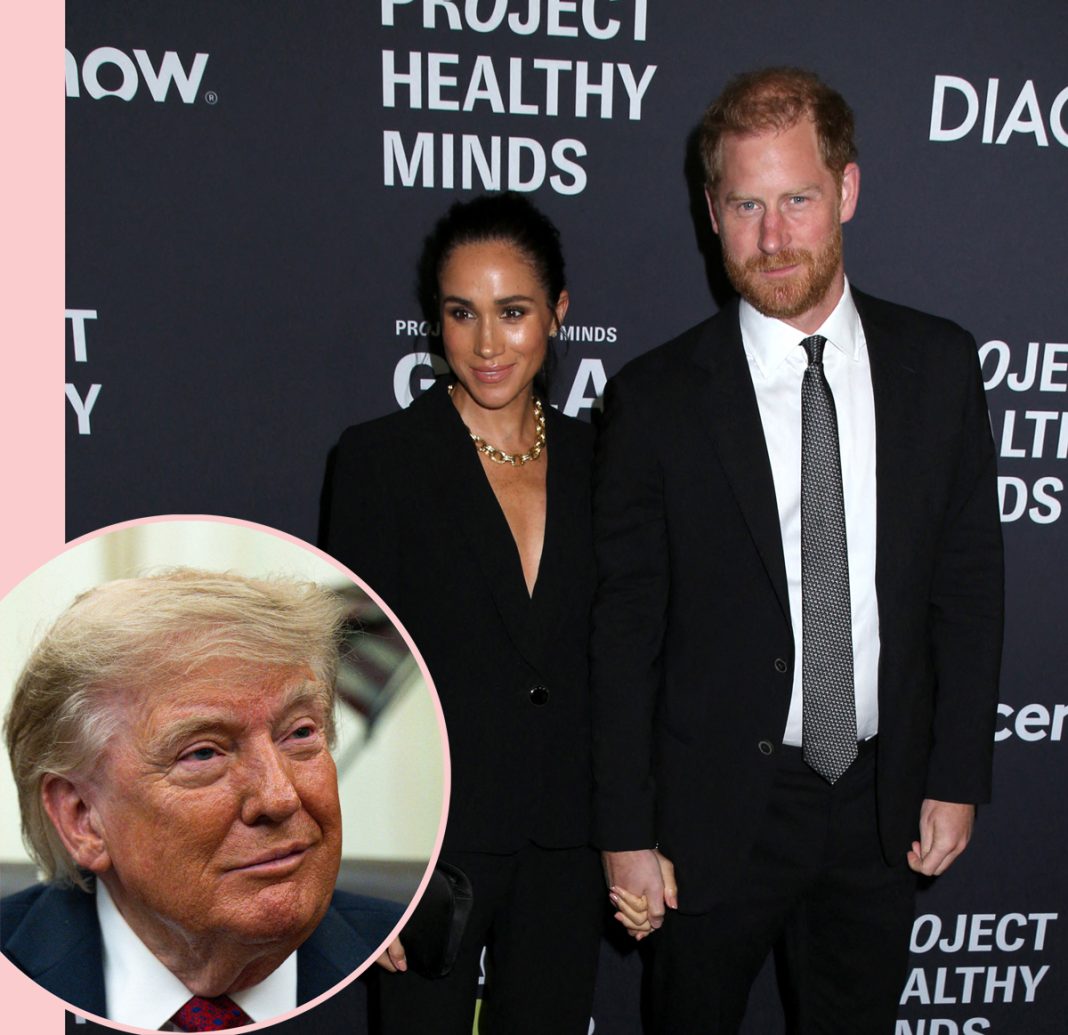 How Trump Responded When Asked About Prince Harry & Meghan Markle Leaving The US: 'Not A Fan'